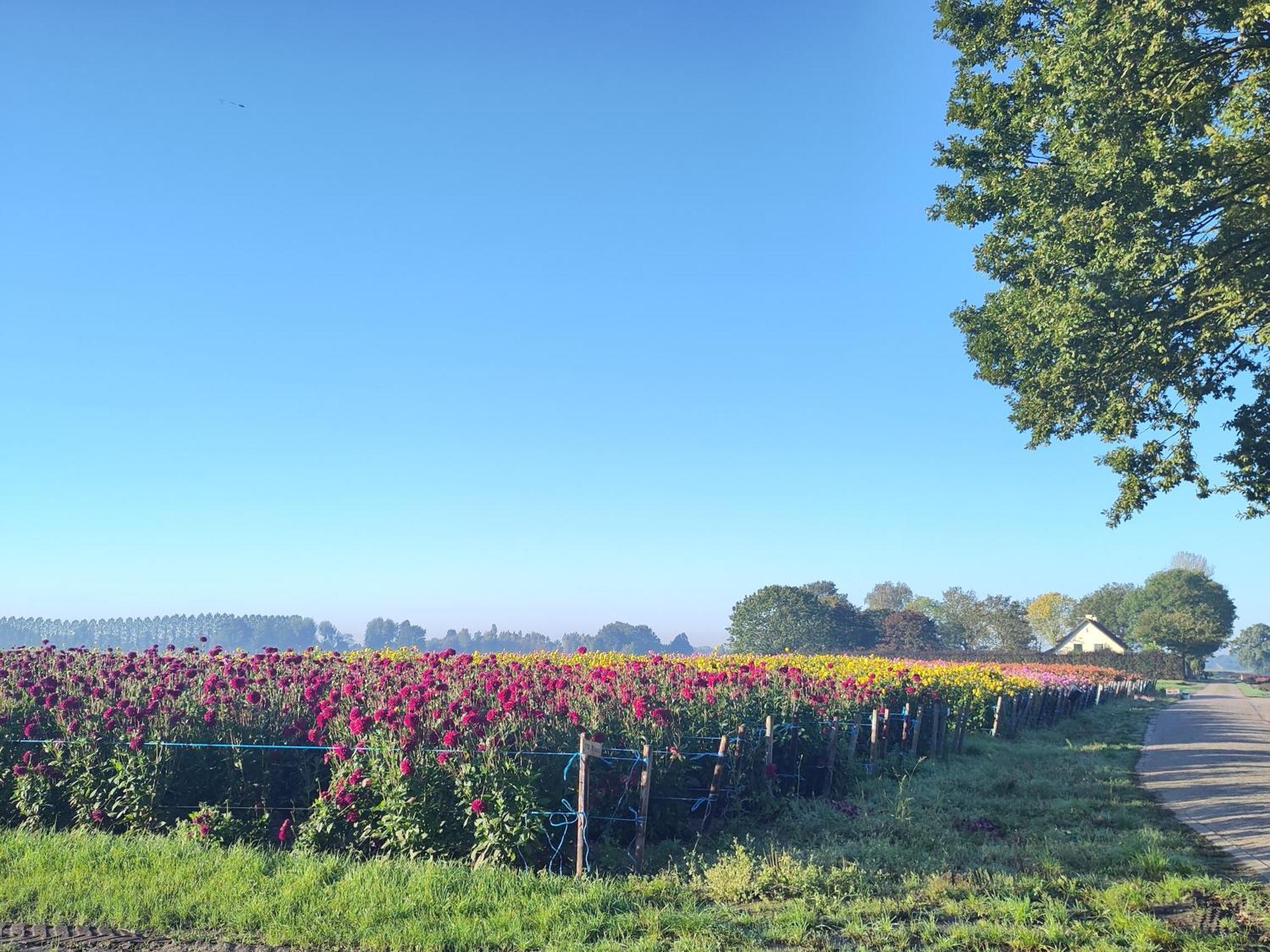 'T Voske Bed & Breakfast Zundert ภายนอก รูปภาพ