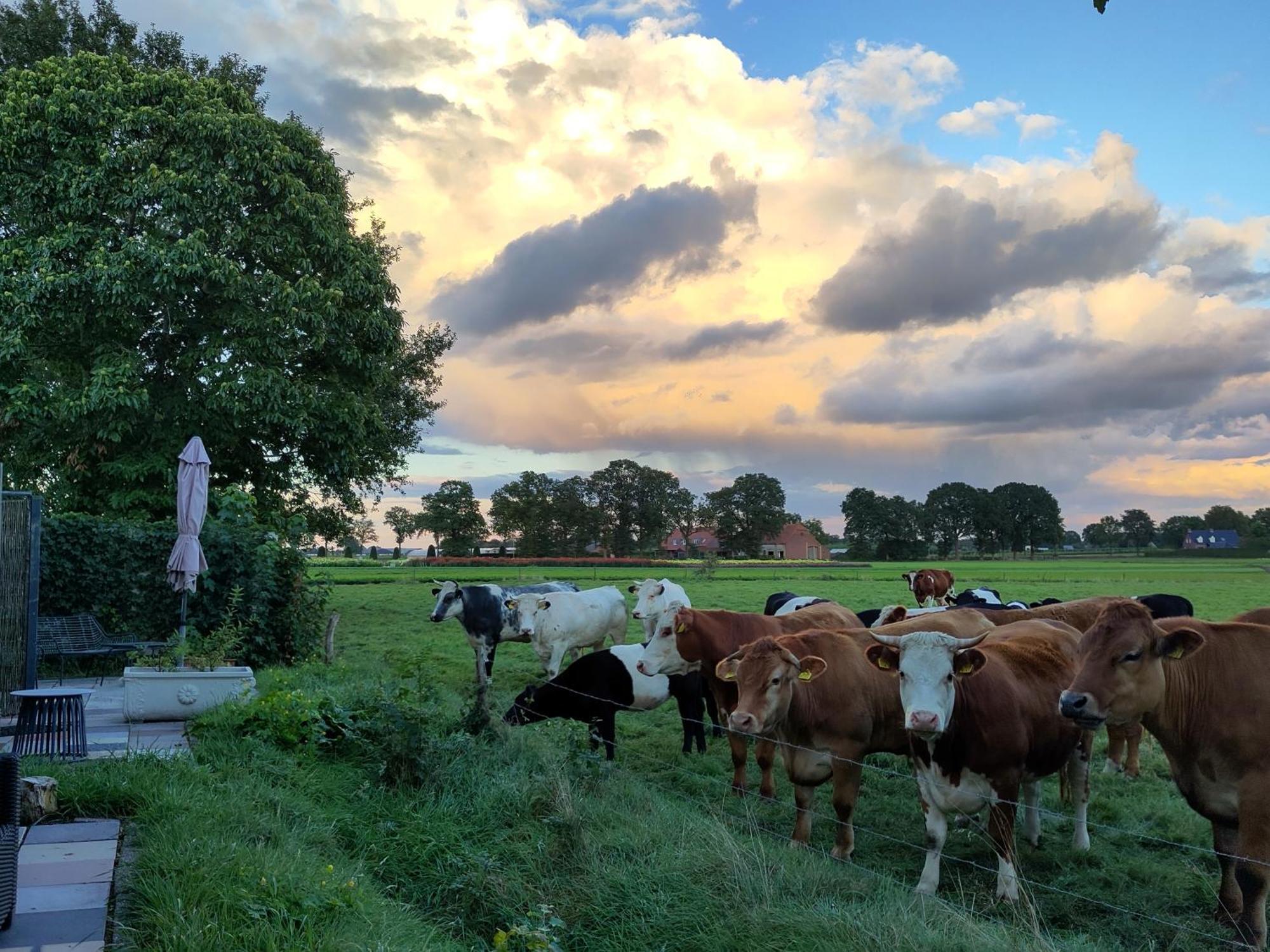 'T Voske Bed & Breakfast Zundert ภายนอก รูปภาพ