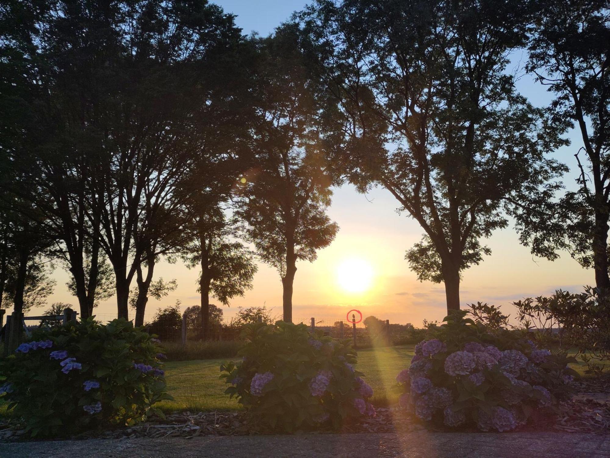 'T Voske Bed & Breakfast Zundert ภายนอก รูปภาพ