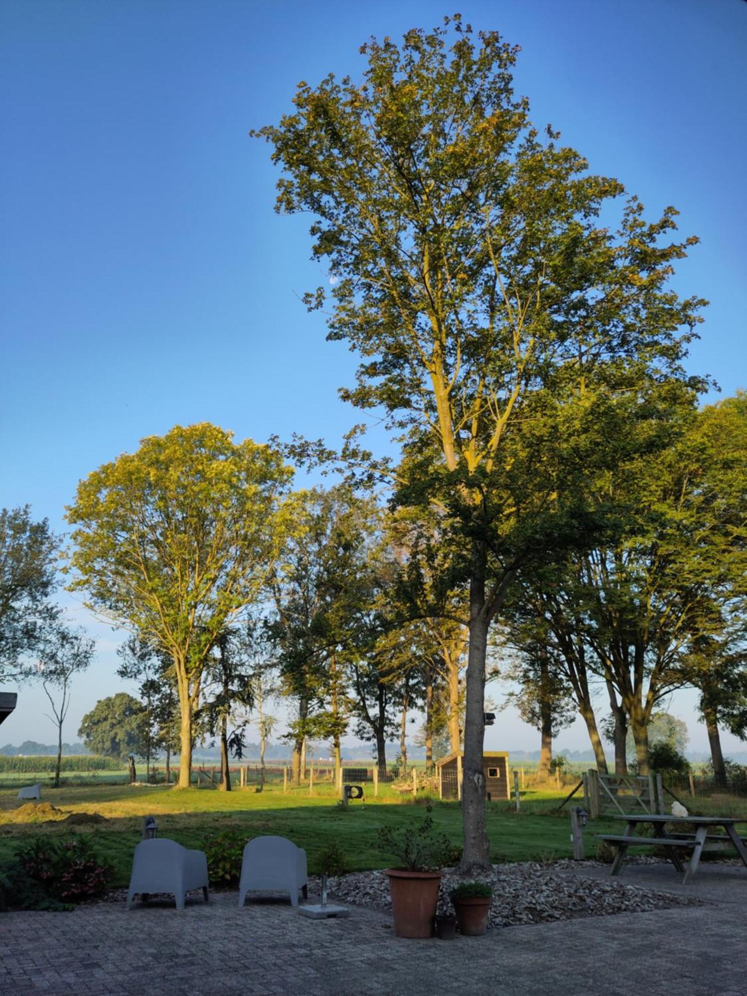 'T Voske Bed & Breakfast Zundert ภายนอก รูปภาพ
